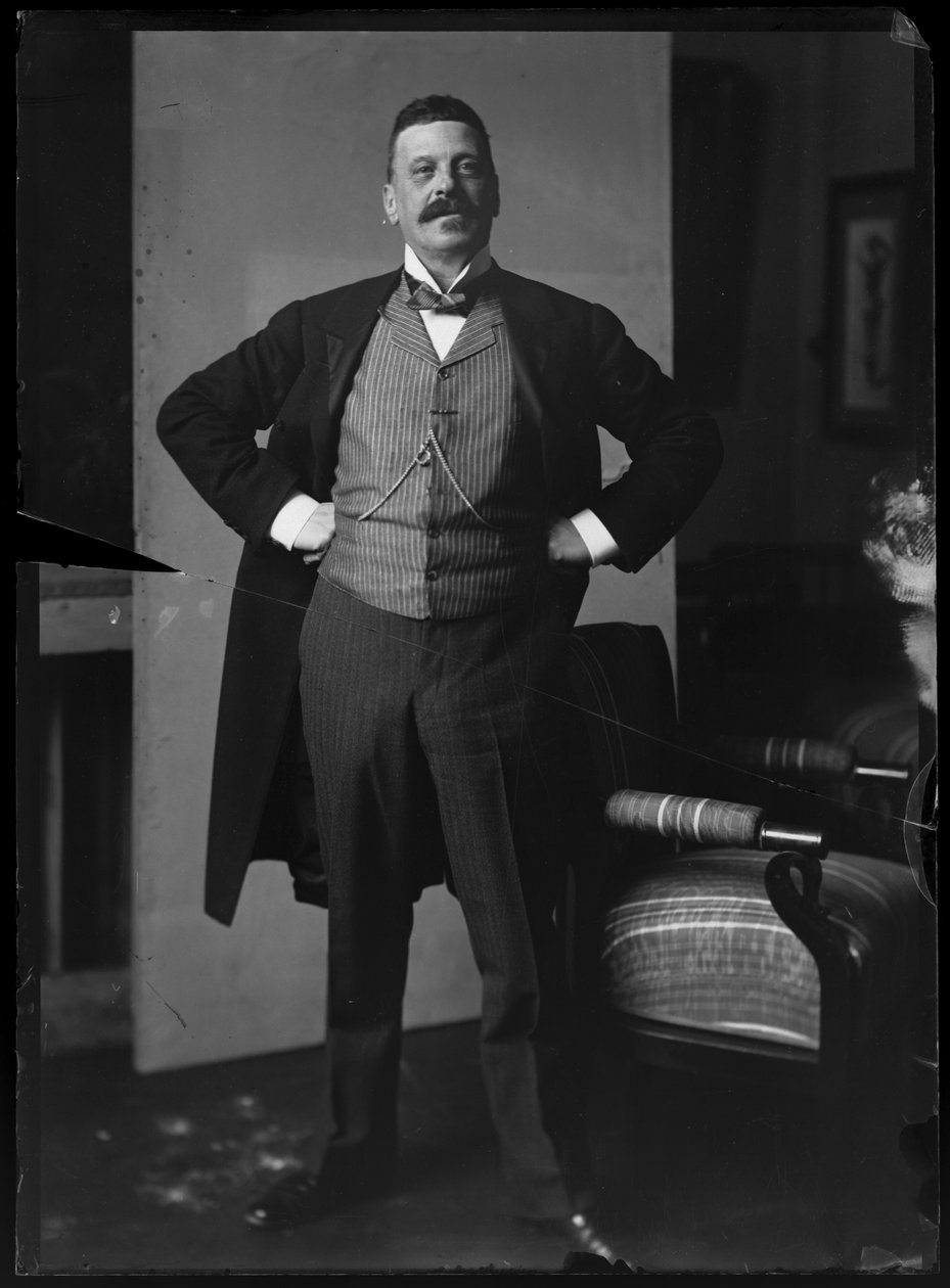  av Ferdinand Schmutzer