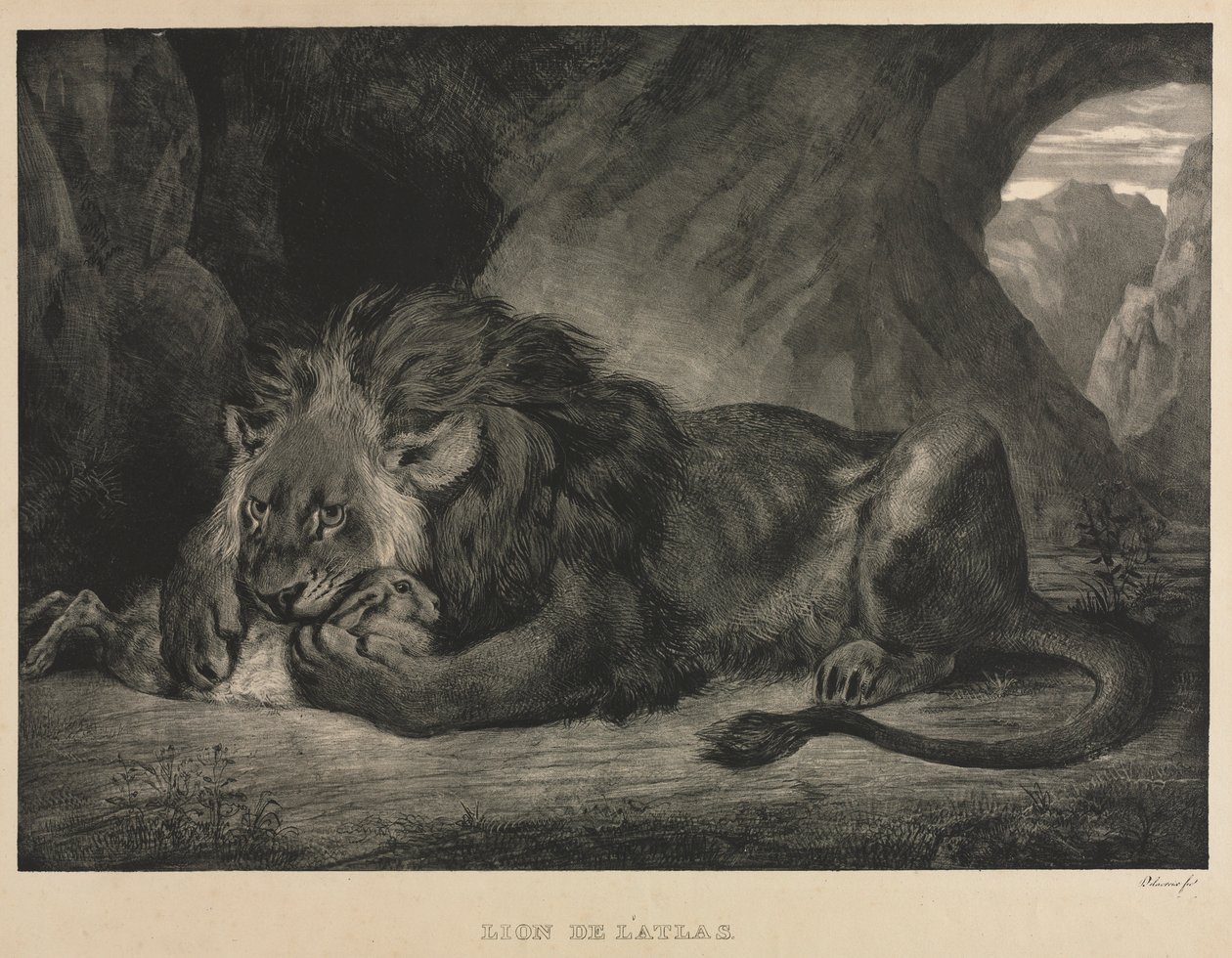 Løve av Atlas, 1829. av Ferdinand Victor Eugene Delacroix