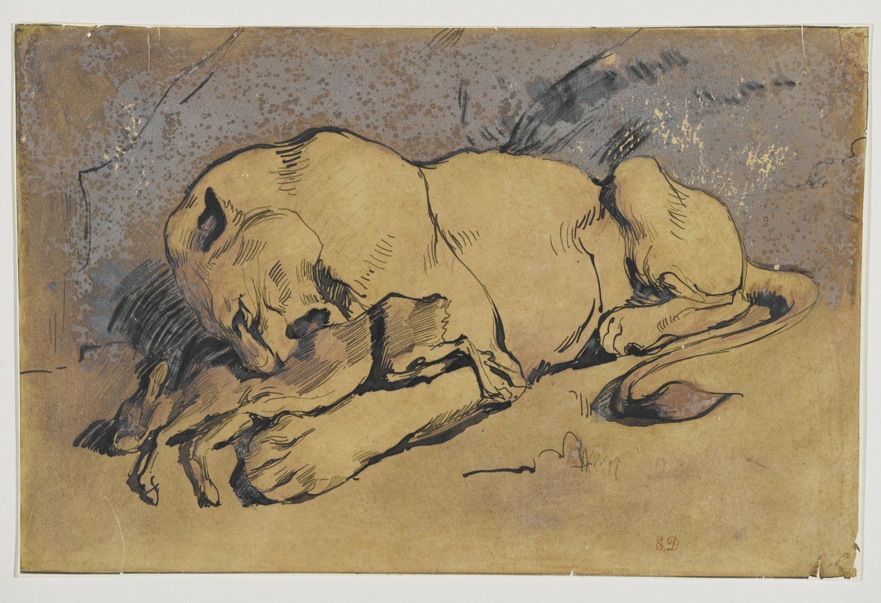 Løvinne som sluker en kanin (penn og blekk med rødlig vask på brunt papir) av Ferdinand Victor Eugene Delacroix