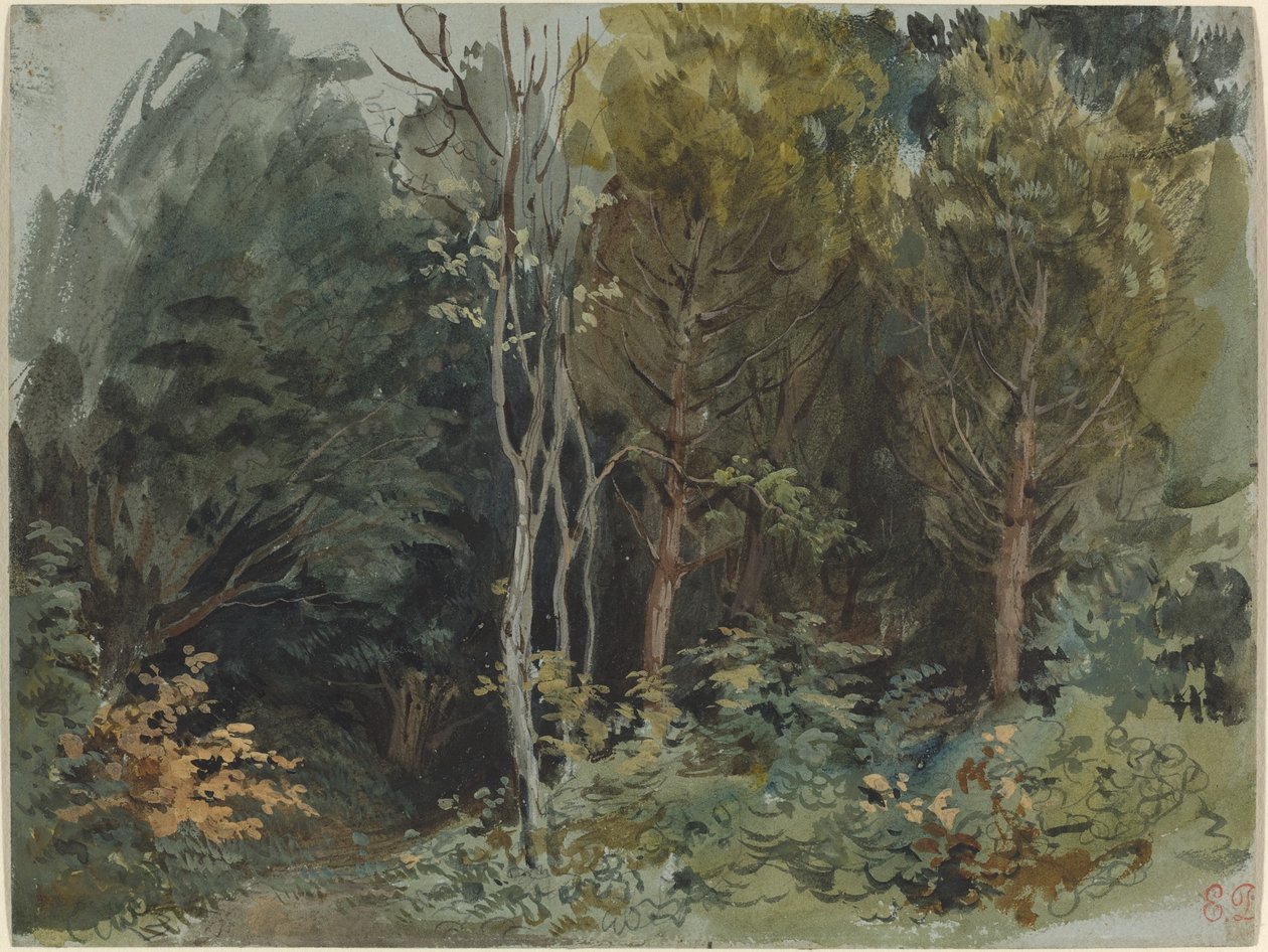 The Edge of a Wood at Nohant, ca. 1842–1843 (akvarell) av Ferdinand Victor Eugene Delacroix