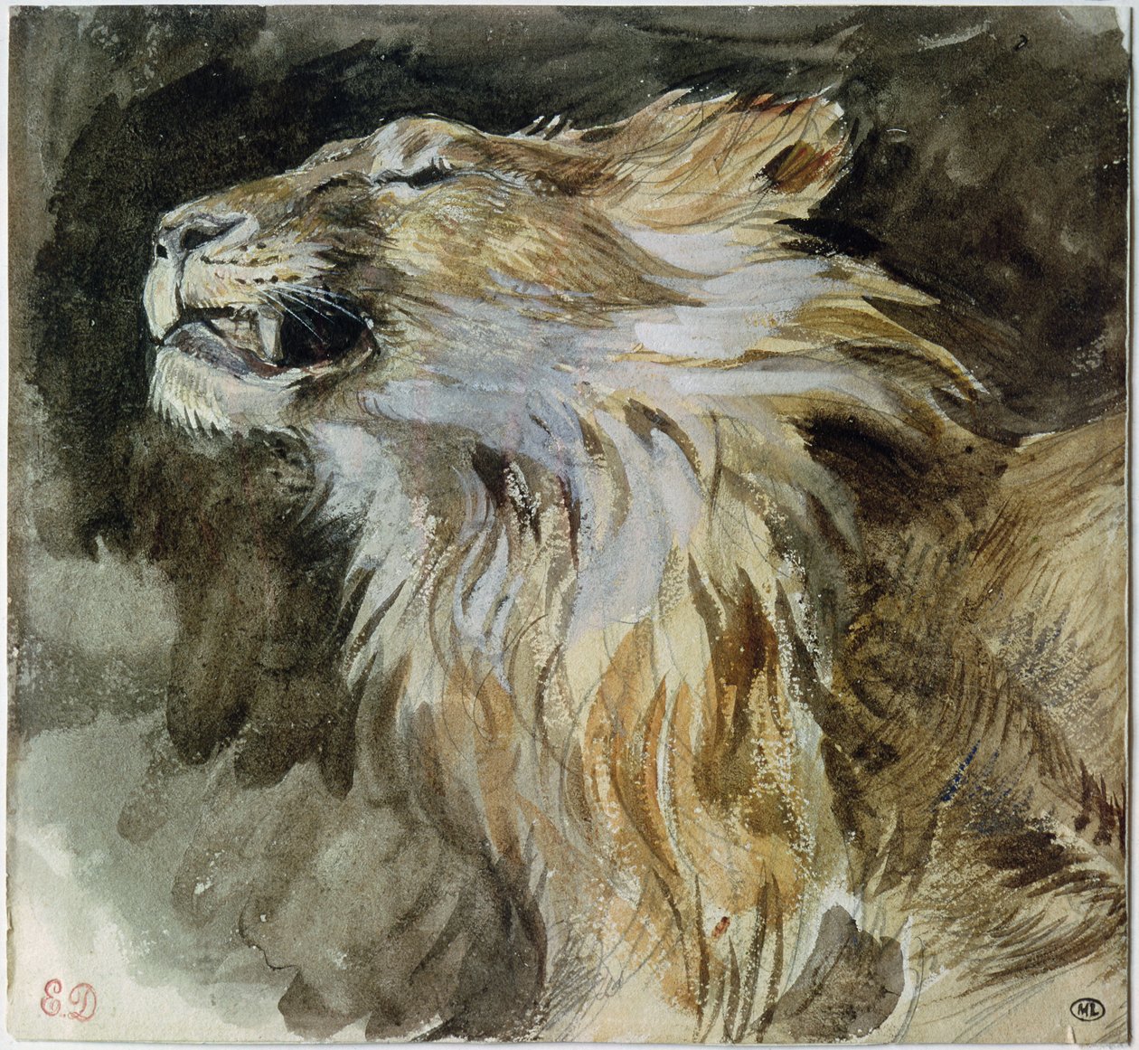 The Head of a Lion (akvarell på papir) av Ferdinand Victor Eugene Delacroix