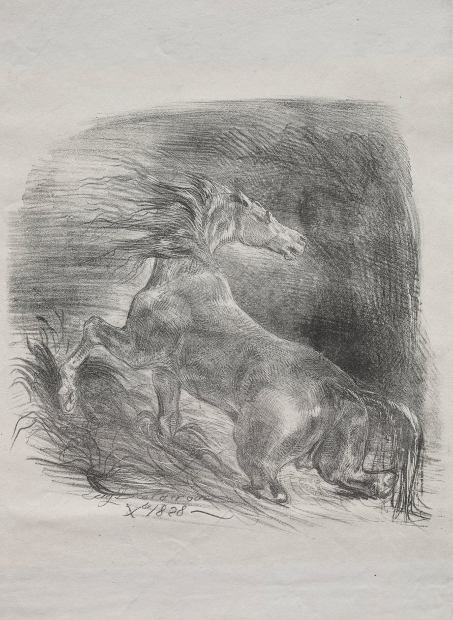 The Wild Horse, eller Frightened Horse Leaving the Water, 1828. av Ferdinand Victor Eugene Delacroix