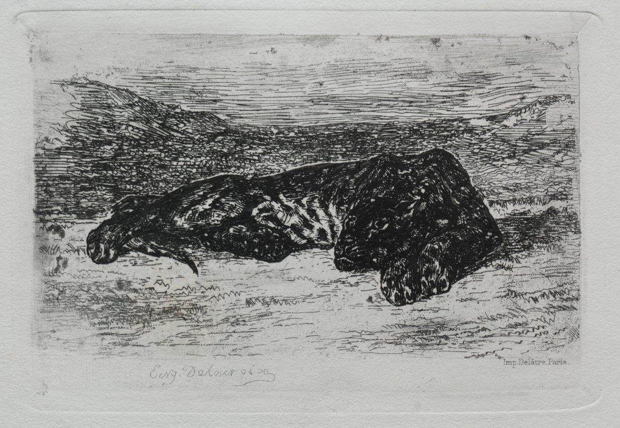 Tiger som ligger i ørkenen. av Ferdinand Victor Eugene Delacroix