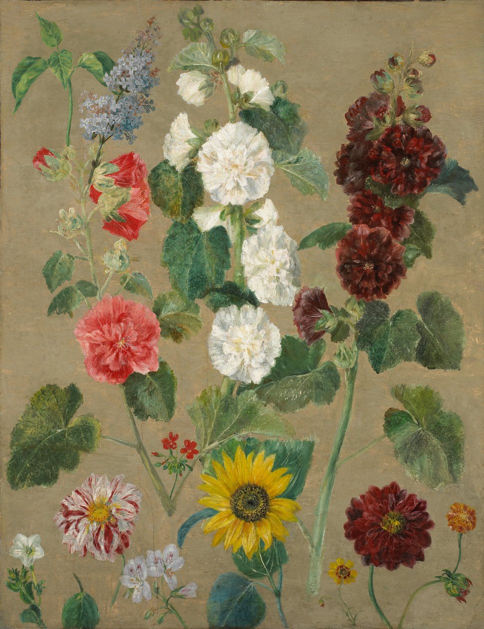 Uten tittel (Blomster) (olje om bord) av Ferdinand Victor Eugene Delacroix