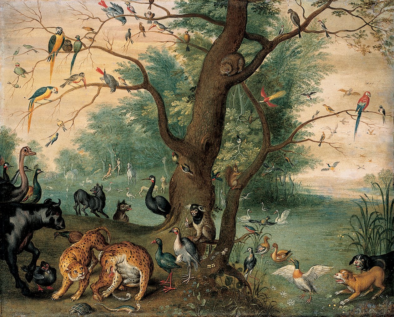 Dyr og fugler i Edens hage av Ferdinand van Kessel