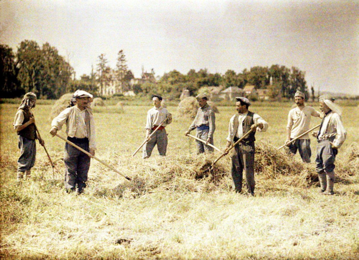 Åtte medlemmer av den 143. infanteridivisjonen til den franske hæren lager høy, Soissons, Aisne, Frankrike, 1917 (autokrom) av Fernand Cuville