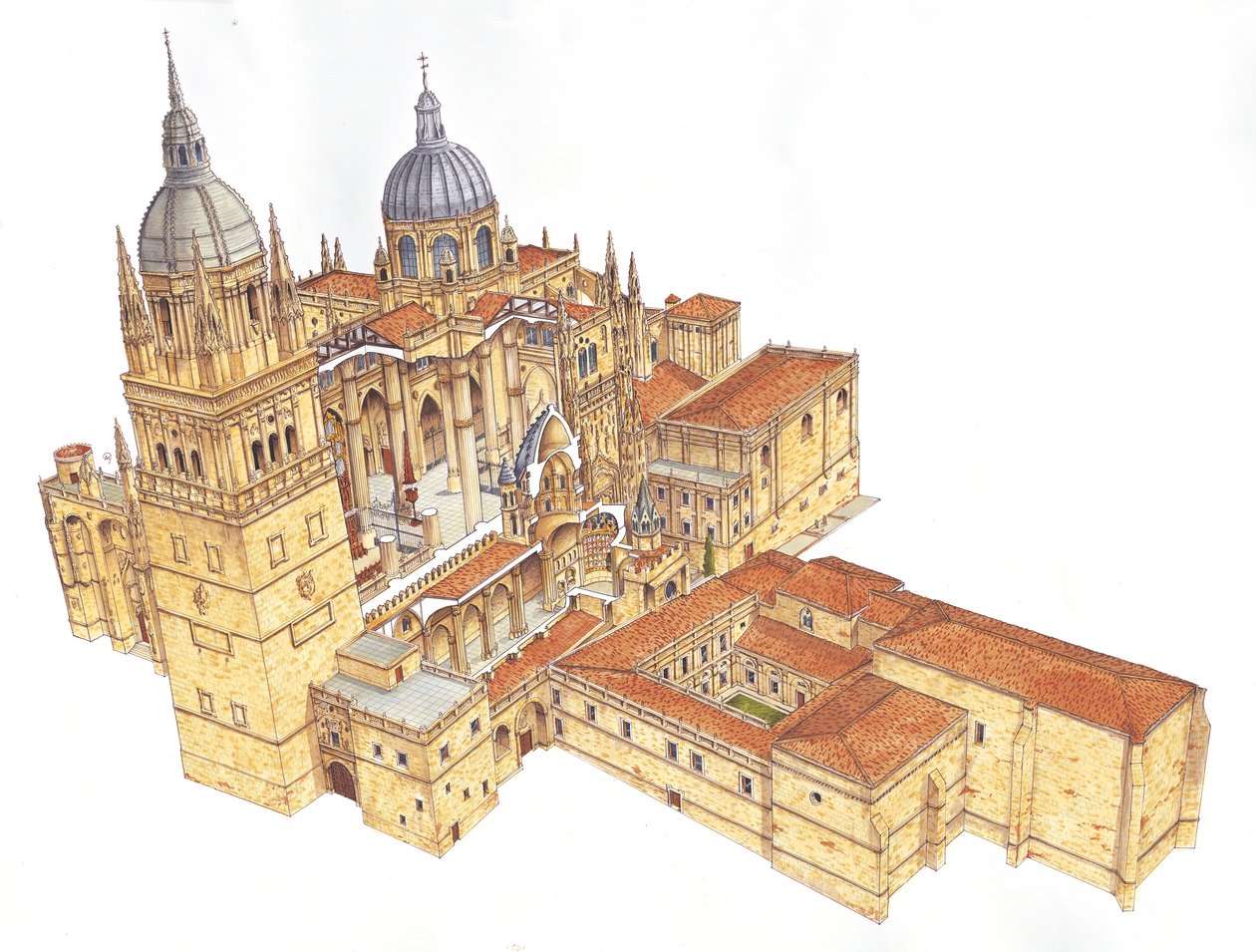 Salamanca katedral. Spania av Fernando Aznar Cenamor