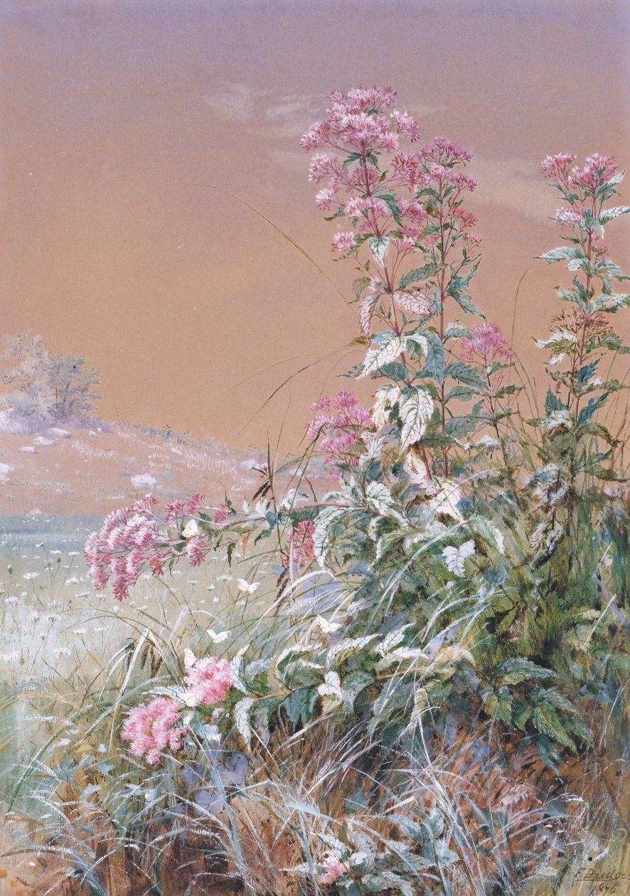 av Fidelia Bridges
