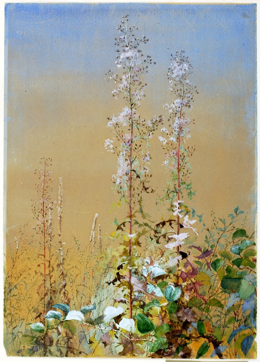  av Fidelia Bridges