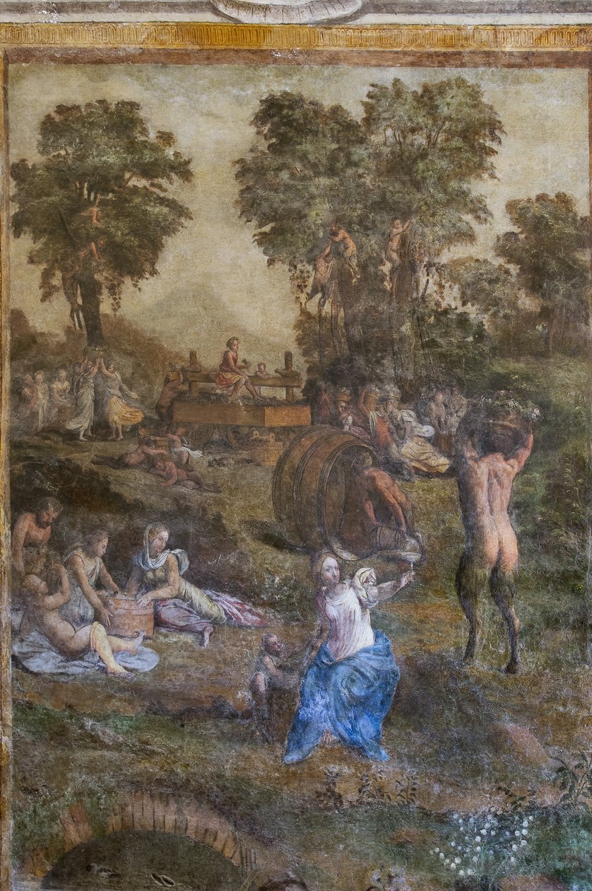 "Harvest", detalj fra Camerino dei Baccanali (fersk) av Filippino (and workshop) Lippi