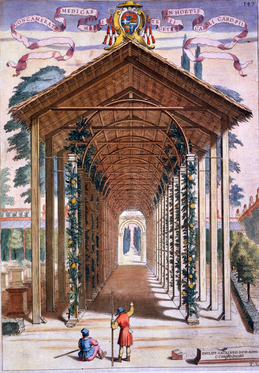 A Trellised Covered Walkway, fra 