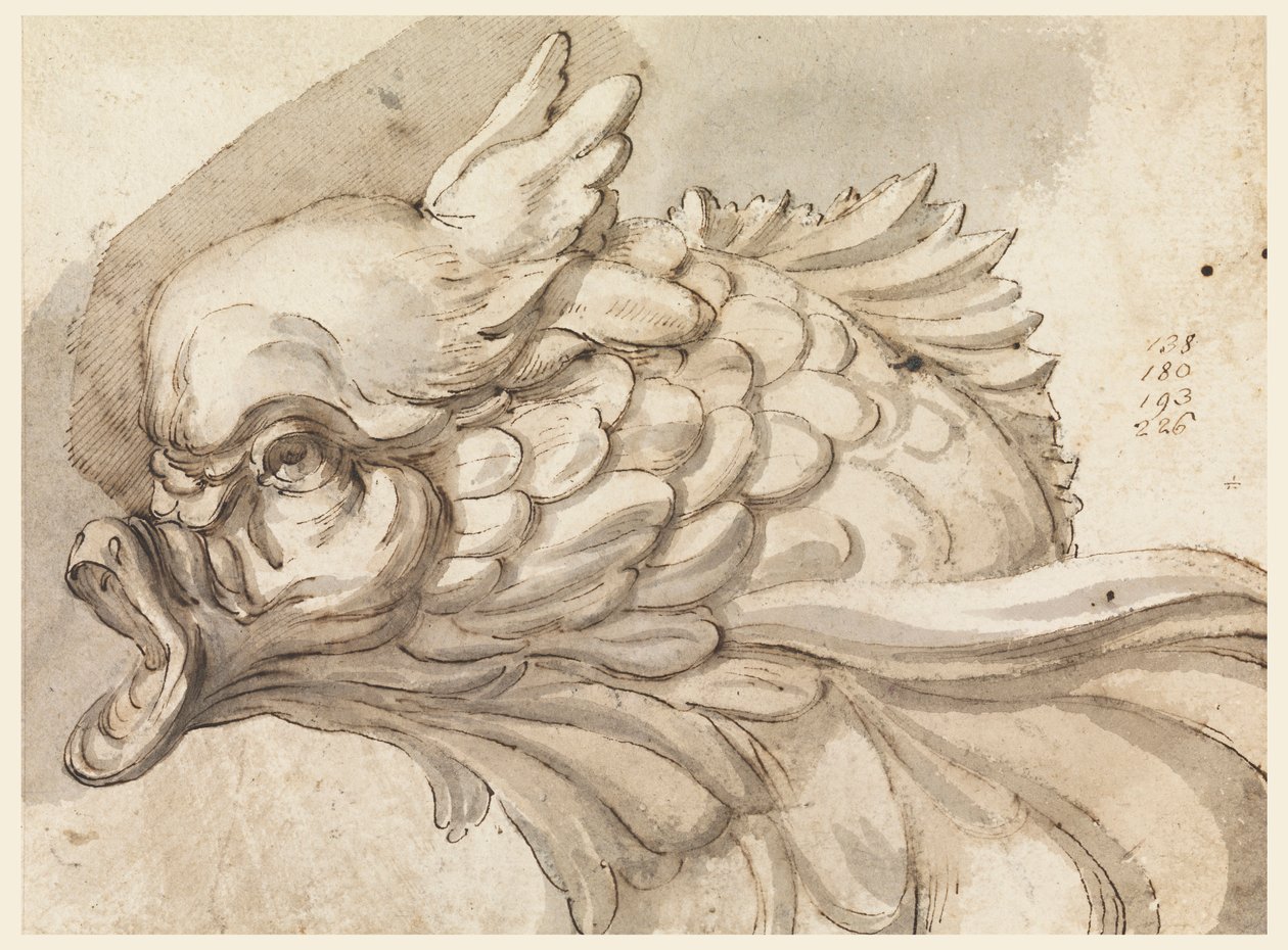 Tegning, hode av en delfin, ca. 1775 av Filippo Marchionni