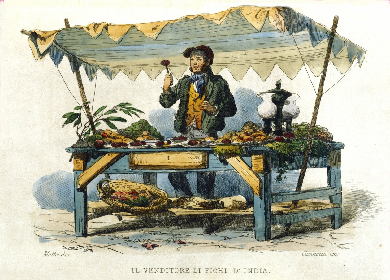 Liten metier av byen Napoli: selgeren av stikkende knagger. Gravering etter et maleri av F. Palizza. Fra et verk av Francesco de Bourcard "" Costumi del regno di Napoli"" av Filippo Palizzi