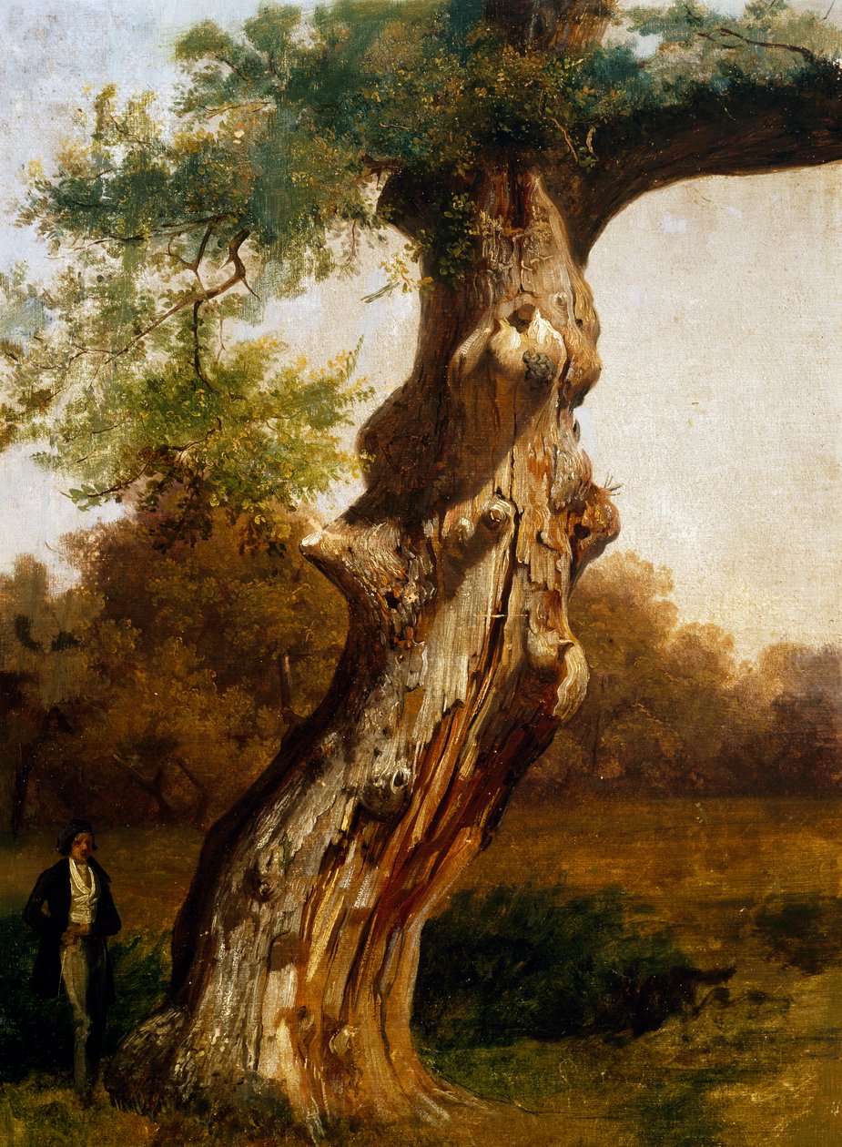 Treet (olje på lerret) av Filippo Palizzi
