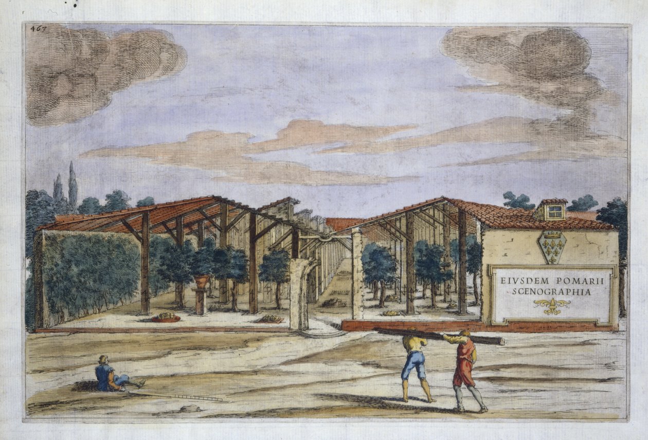 A Covered Orchard, from Hesperides av Giovanni Battista Ferrari, gravert av Camillo Congio (fl.1630), utgitt 1646 (håndfarget gravering) av Filippo after Gagliardi