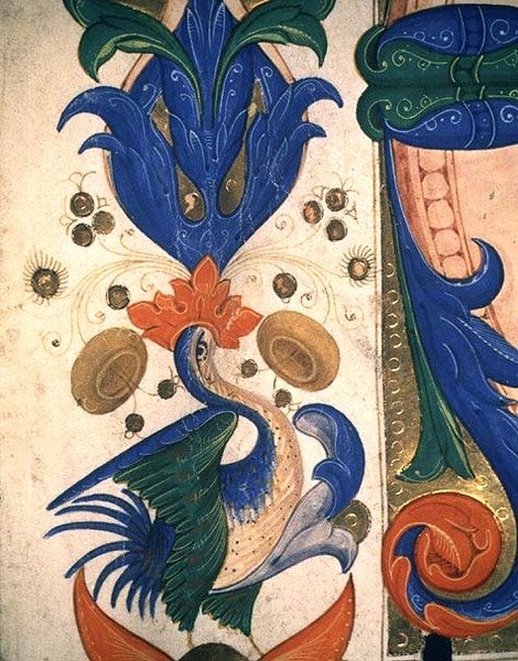 Missal 515 1r Zoomorphic foliate kant, detalj fra en korbok utført før 1449 (detalj av 88903) av Filippo di Matteo Torelli