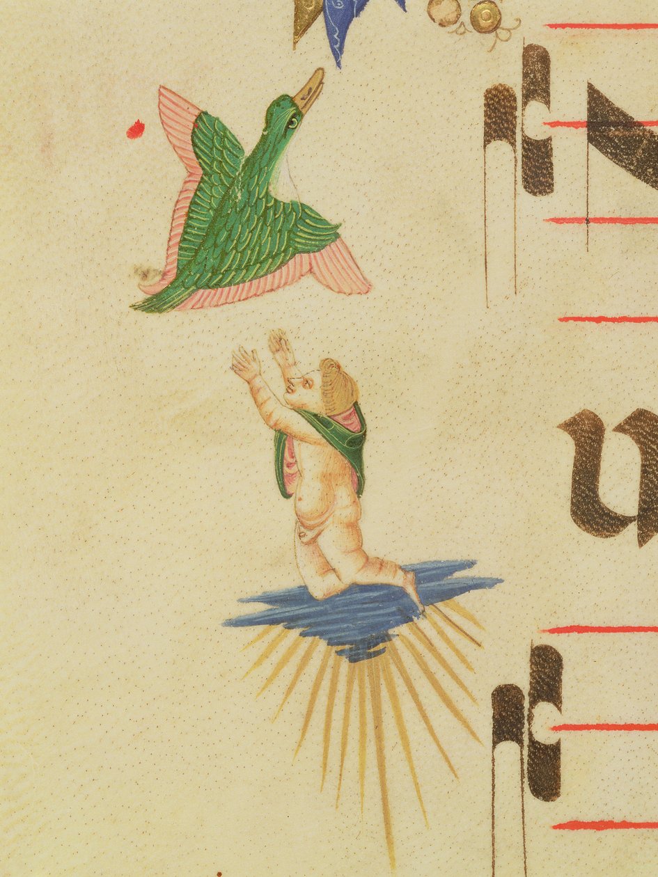 Missal 515 f.13v En kjerub med kappe som prøver å fange en flygende fugl, fra en dekorativ kant, detalj fra en korbok utført før 1449 vellumdetalj av 56721 av Filippo di Matteo Torelli