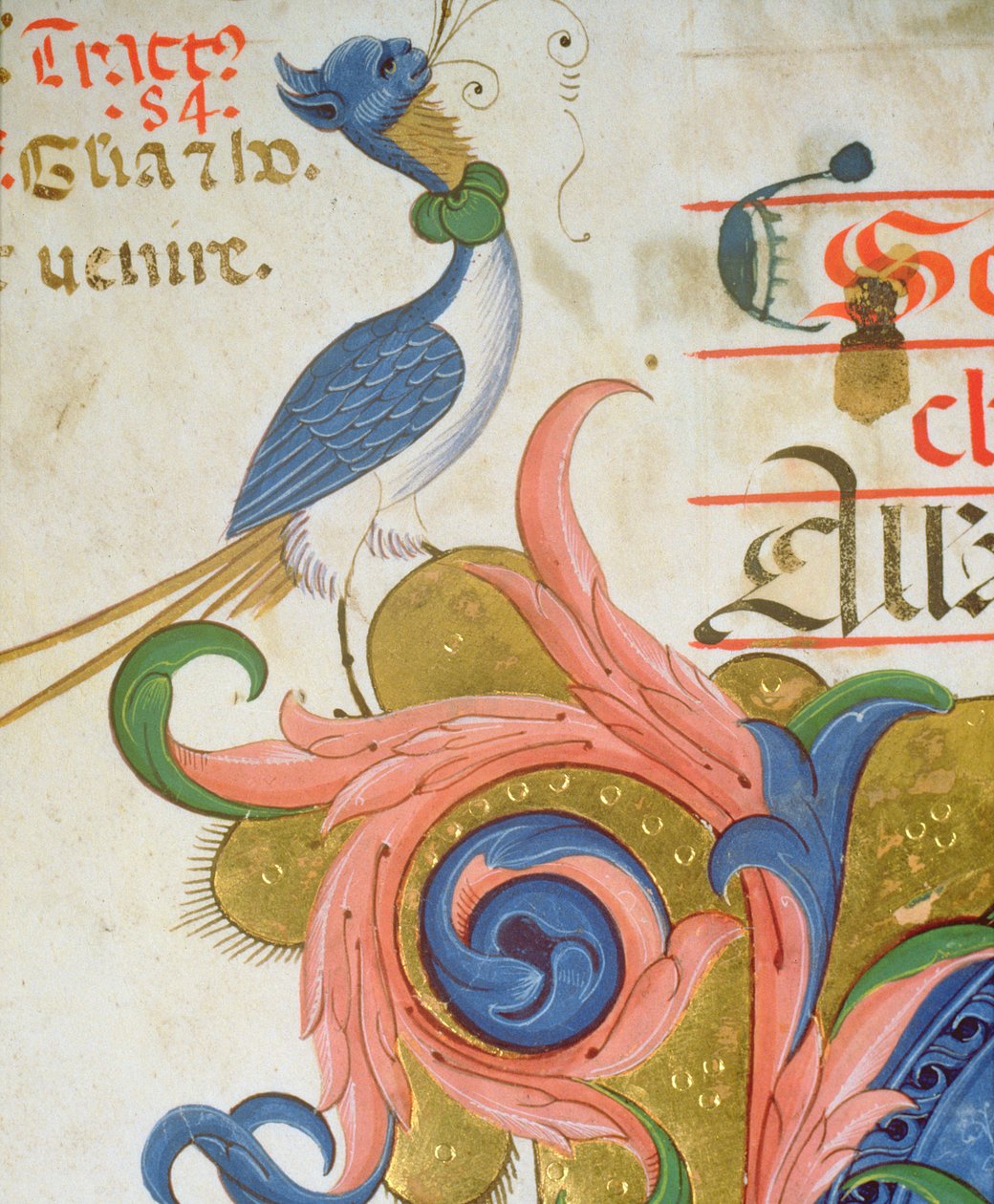Missal 515 f.28v Fantastisk fugl med menneskehode stående på hjørnet av en historisk initial, detalj fra en korbok utført før 1449 vellumdetalj av 56724 av Filippo di Matteo Torelli