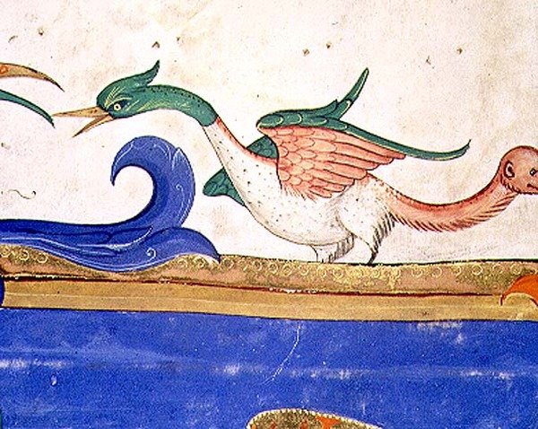 Missal 515 f.72v Fantastisk fugl med hale med apekatt, detalj fra en korbok utført før 1449 (detalj av 56719) av Filippo di Matteo Torelli