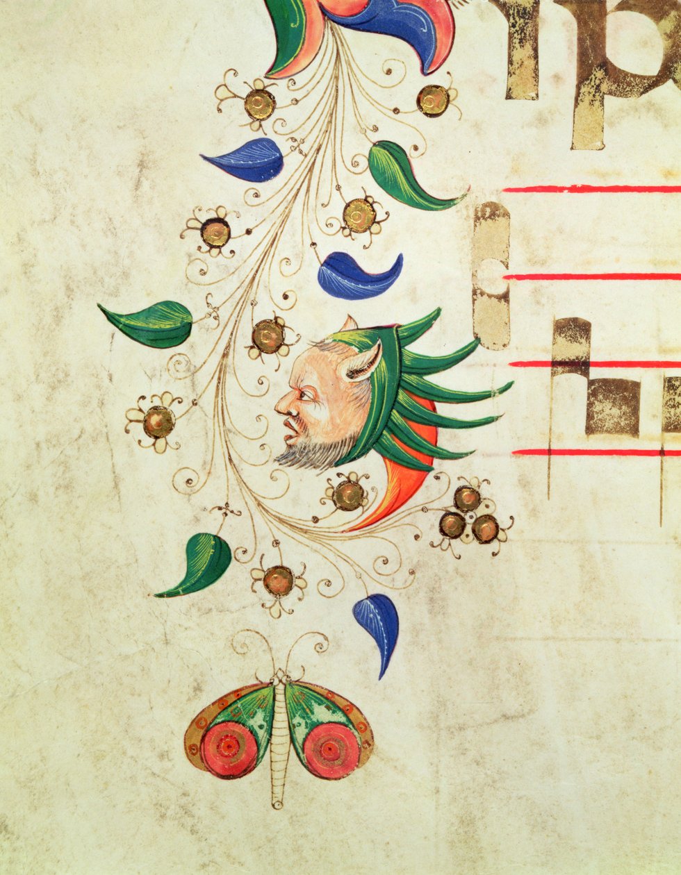 Missal 515 f.72v Zoomorf bladkant, detalj fra en korbok utført før 1449 vellum av Filippo di Matteo Torelli
