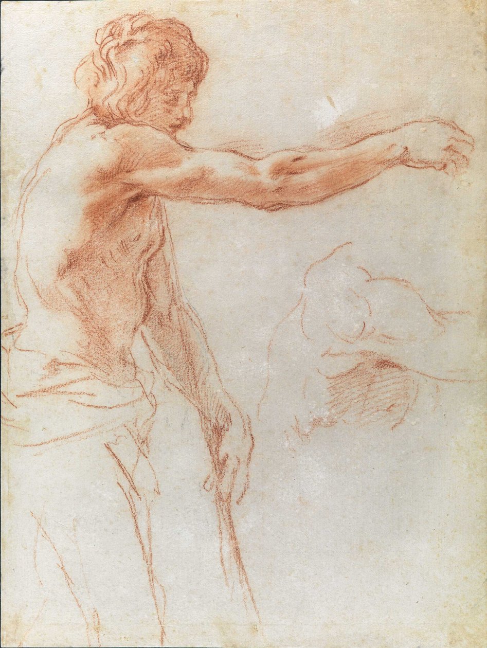 Johannes døperen av Flaminio Torre