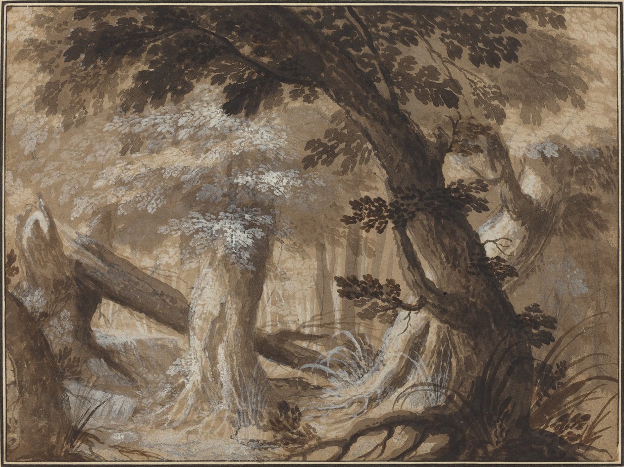 Skog interiør av Flemish 17th Century