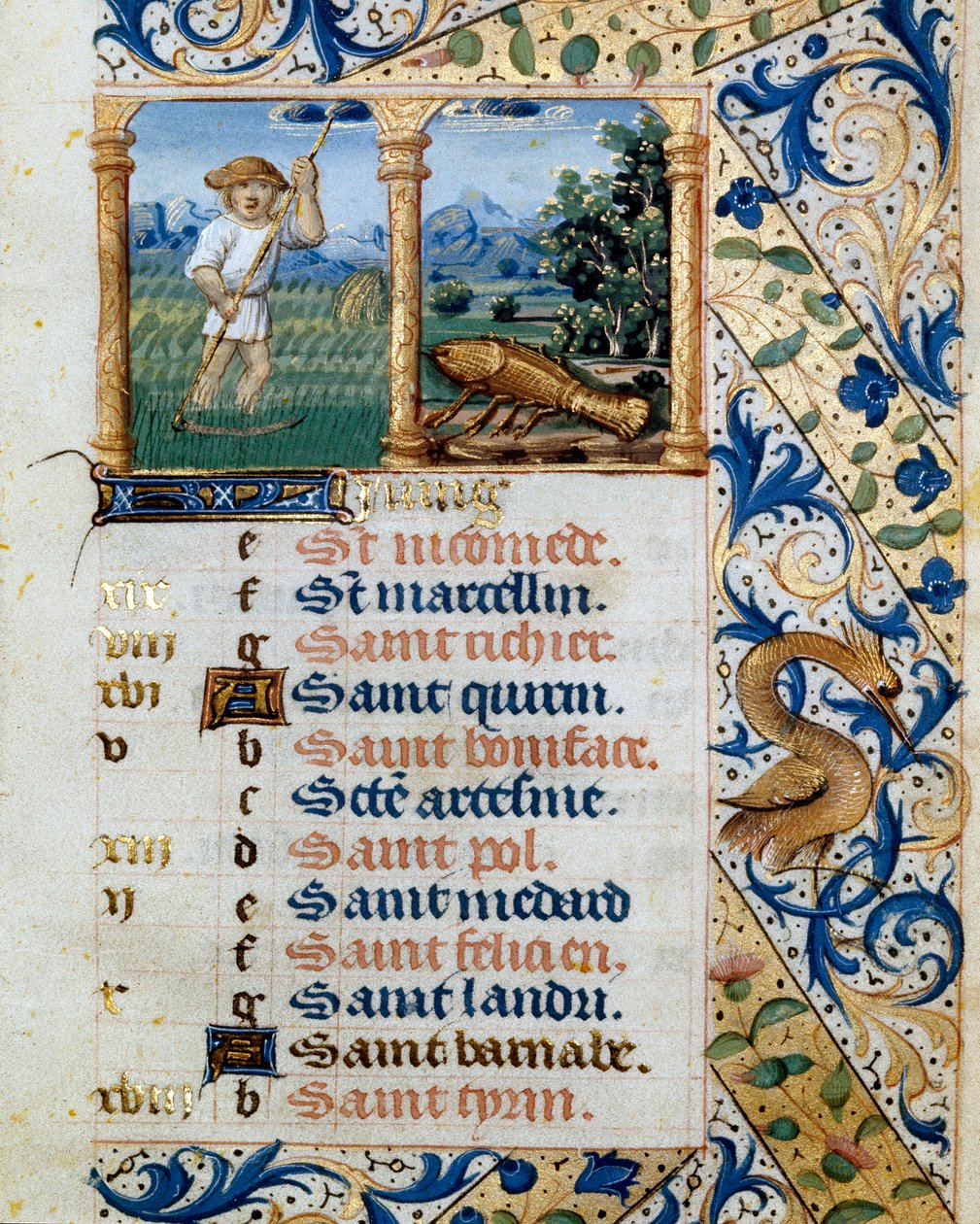 Kalender, juni, en bondeklipping og kreftens tegn. Side hentet fra en timebok ms. 47, opplyst av den flamske skolen. Badia de 