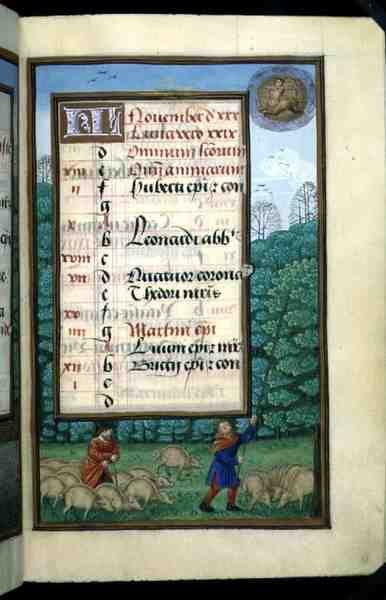 Ms 1058-1975 f.11r Herding Swine and Beating Oaks, opplyst kalenderside for november, fra en timebok, ca. 1500 (vellum) av Flemish School