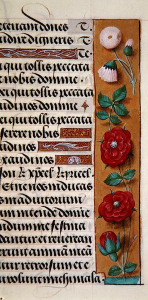 Ms. 1058-1975, f.120r: detalj av en blomsterkant fra en timebok, ca. 1500 (vellum) av Flemish School