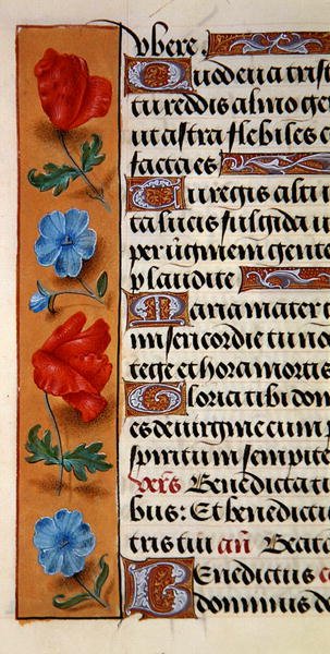 Ms. 1058-1975, f.16r: detalj av en blomsterkant fra en timebok, ca. 1500 (vellum) av Flemish School