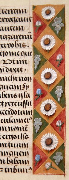 Ms. 1058-1975, f.16r: detalj av en blomsterkant fra en timebok, ca. 1500 (vellum) av Flemish School