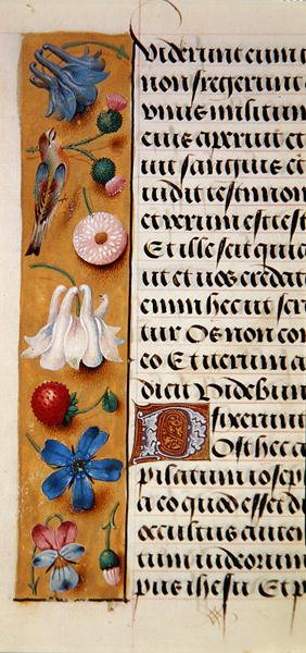 Ms. 1058-1975, f.22v: detalj av en blomsterkant fra en timebok, ca. 1500 (vellum) av Flemish School