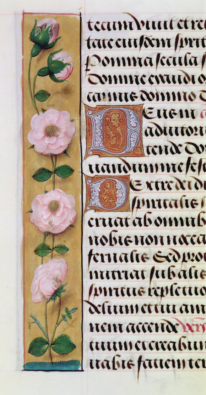 Ms. 1058-1975, f.34v: detalj av en blomsterkant fra en timebok, ca. 1500 av Flemish School