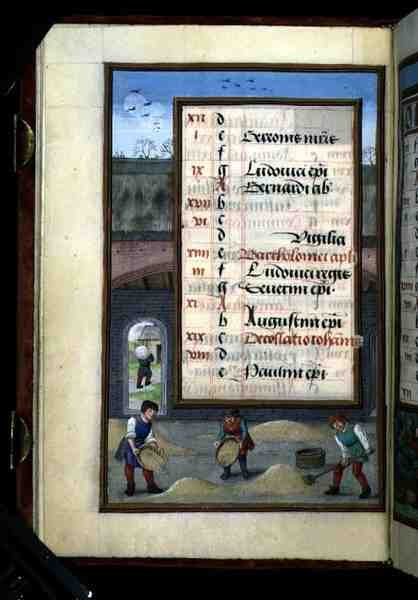 Ms 1058-1975 f8v Winnowing Corn in a låve, opplyst kalenderside for august, fra en timebok, ca. 1500 (vellum) av Flemish School