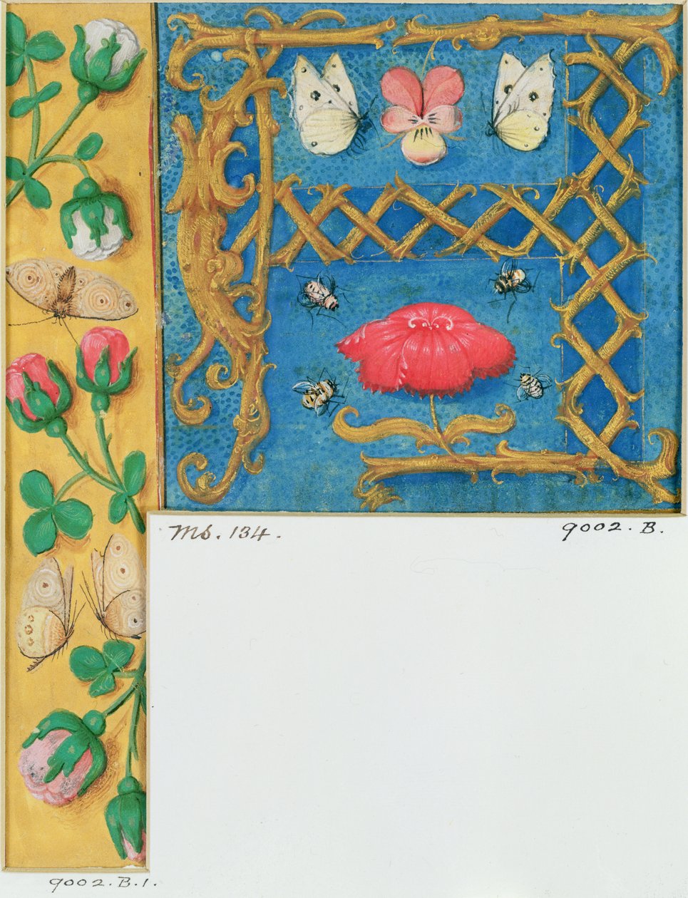 Ms 134 Opplyst bokstav `A og sidekant av blomster, fra en timebok, ca. 1500 av Flemish School