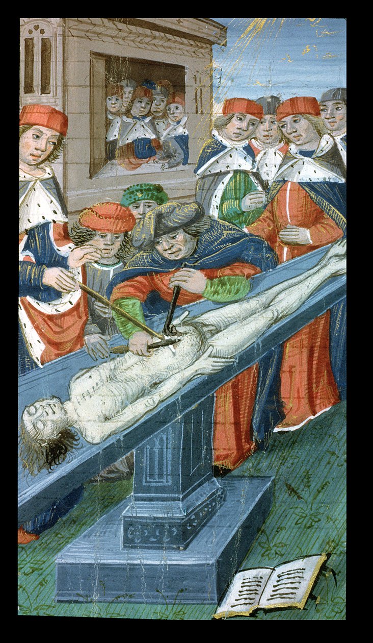 Ms Hunter 9 10r Dissection, fra De Medina Fen I. II, av Avicenna (980-1037) av Flemish School