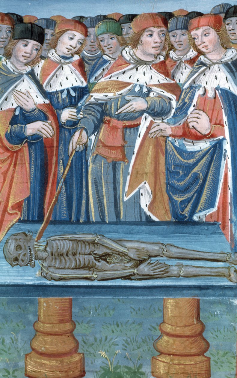 Ms Hunter 9 30v Dissection, fra De Medina Fen I. II, av Avicenna (980-1037) av Flemish School