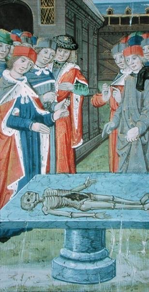 Ms Hunter 9 f.12v Dissection , fra 