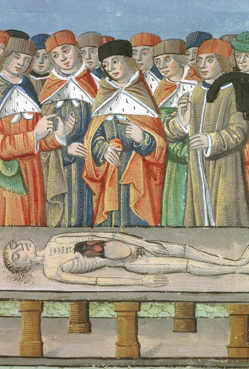 Ms Hunter 9 f.36r Dissection, fra De Medina Fen I. II, av Avicenna (980-1037) av Flemish School