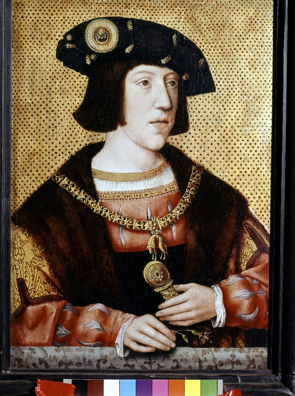 Portrett av Karl V (1500 - 1558), keiser av Tyskland. Flamsk skole på 1500-tallet (olje på lerret) av Flemish School