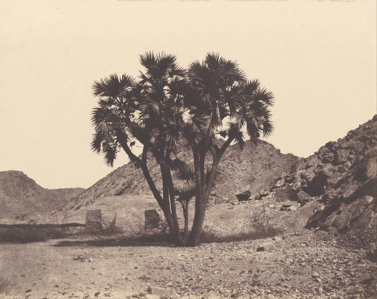 Egypt og Nubia. Steder og monumenter av Félix Teynard