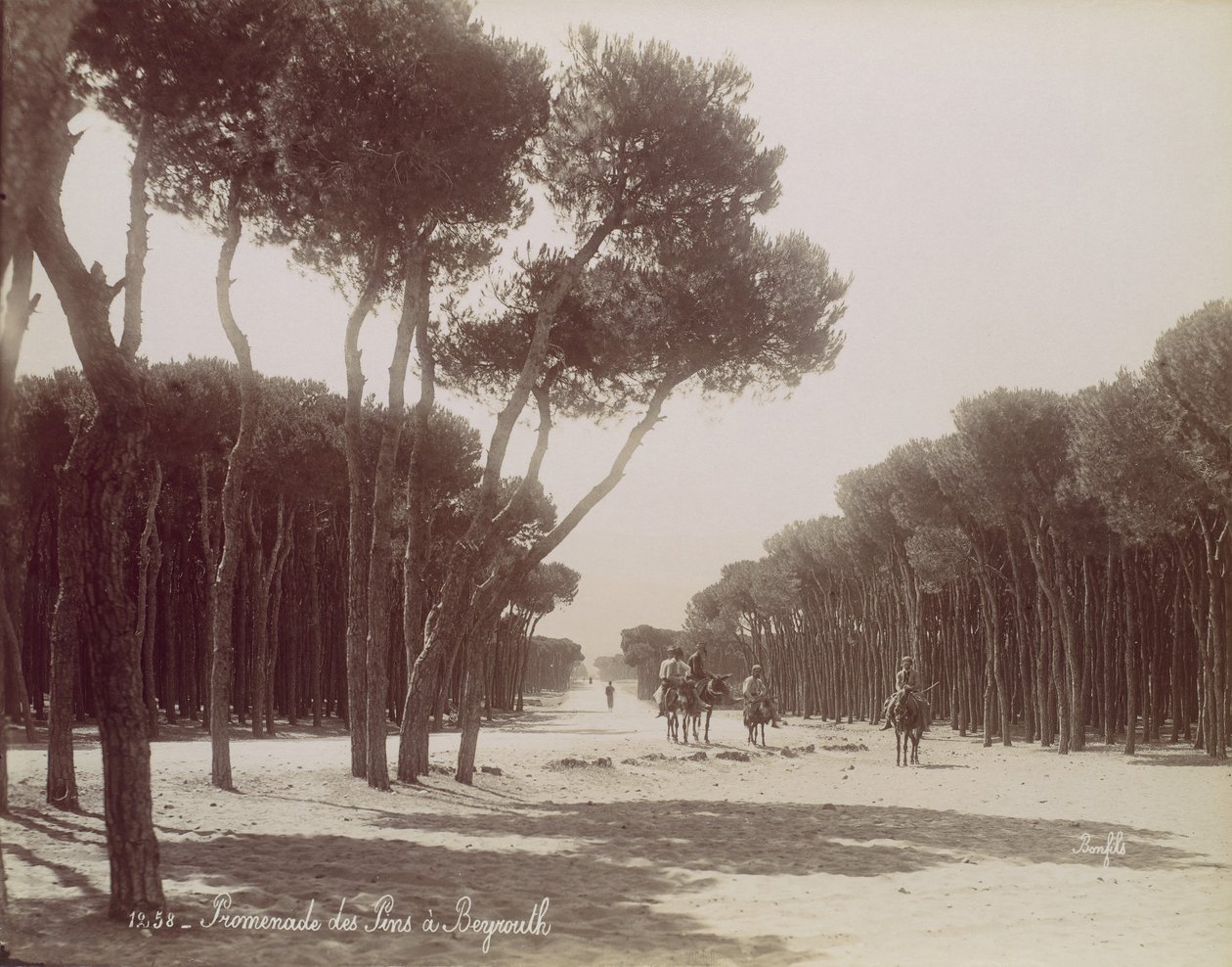 Promenade des Pins i Beirut, ca. 1870. av Félix Bonfils