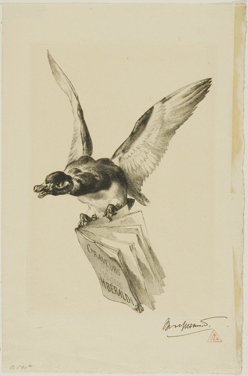  av Félix Henri Bracquemond