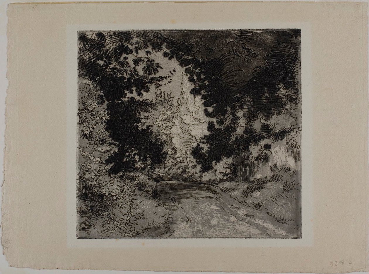  av Félix Henri Bracquemond