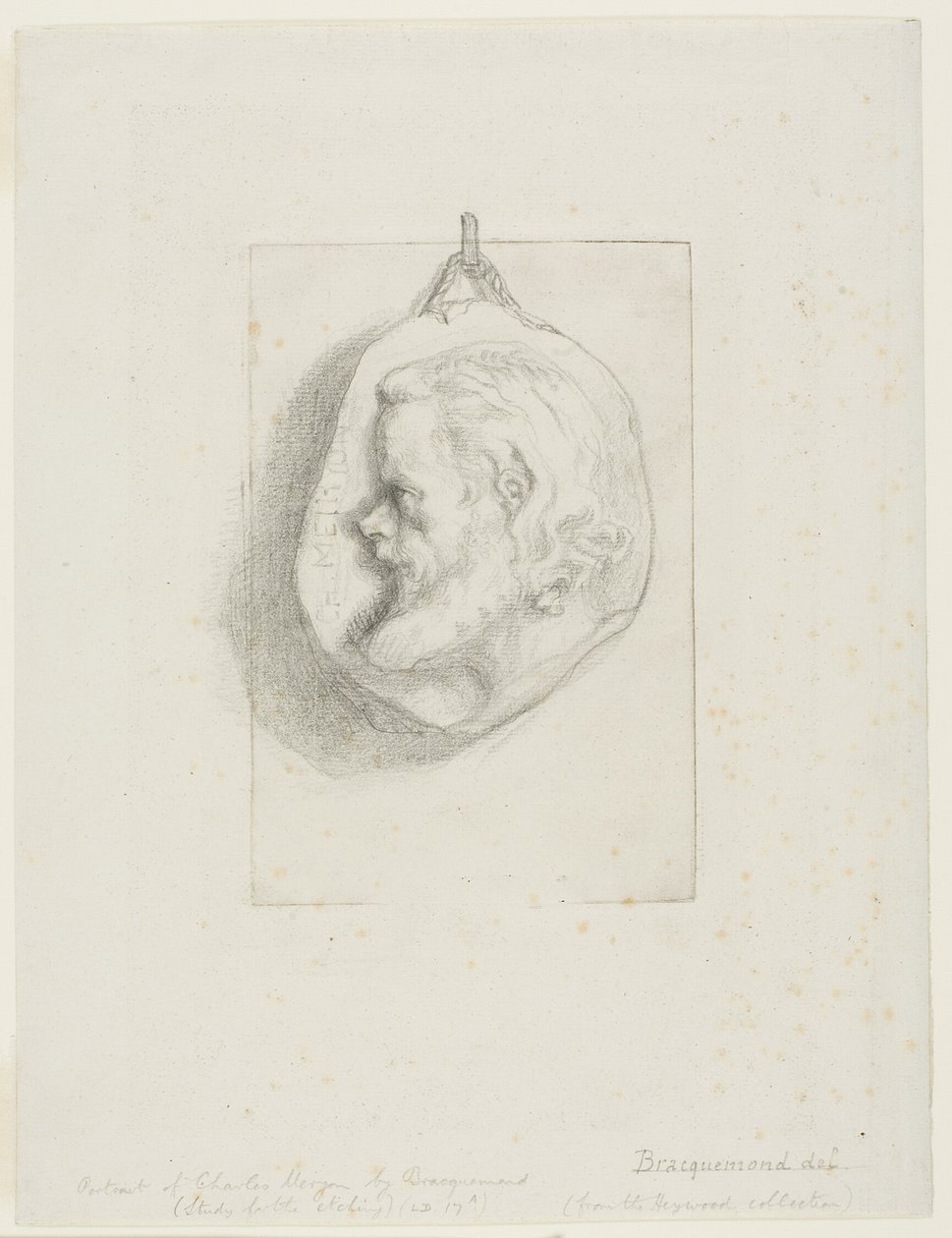  av Félix Henri Bracquemond