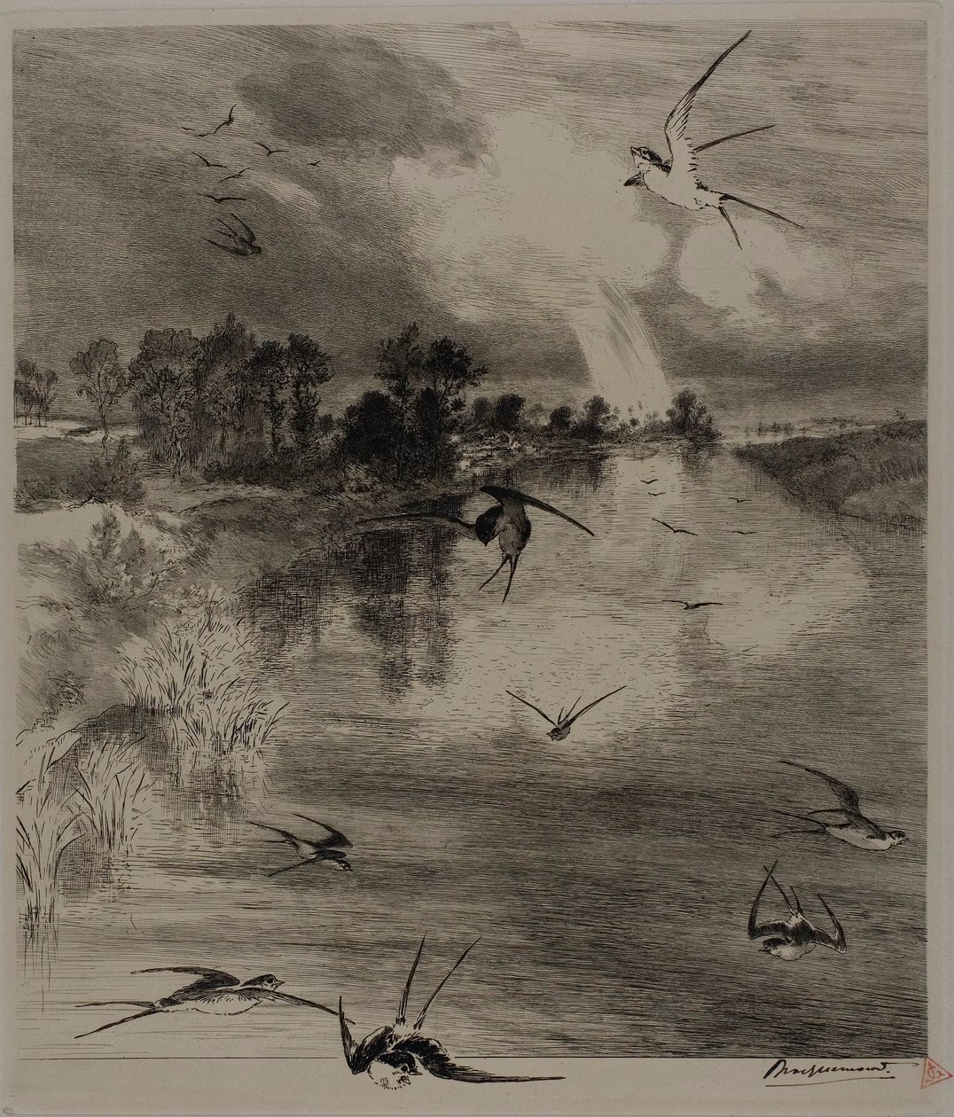  av Félix Henri Bracquemond