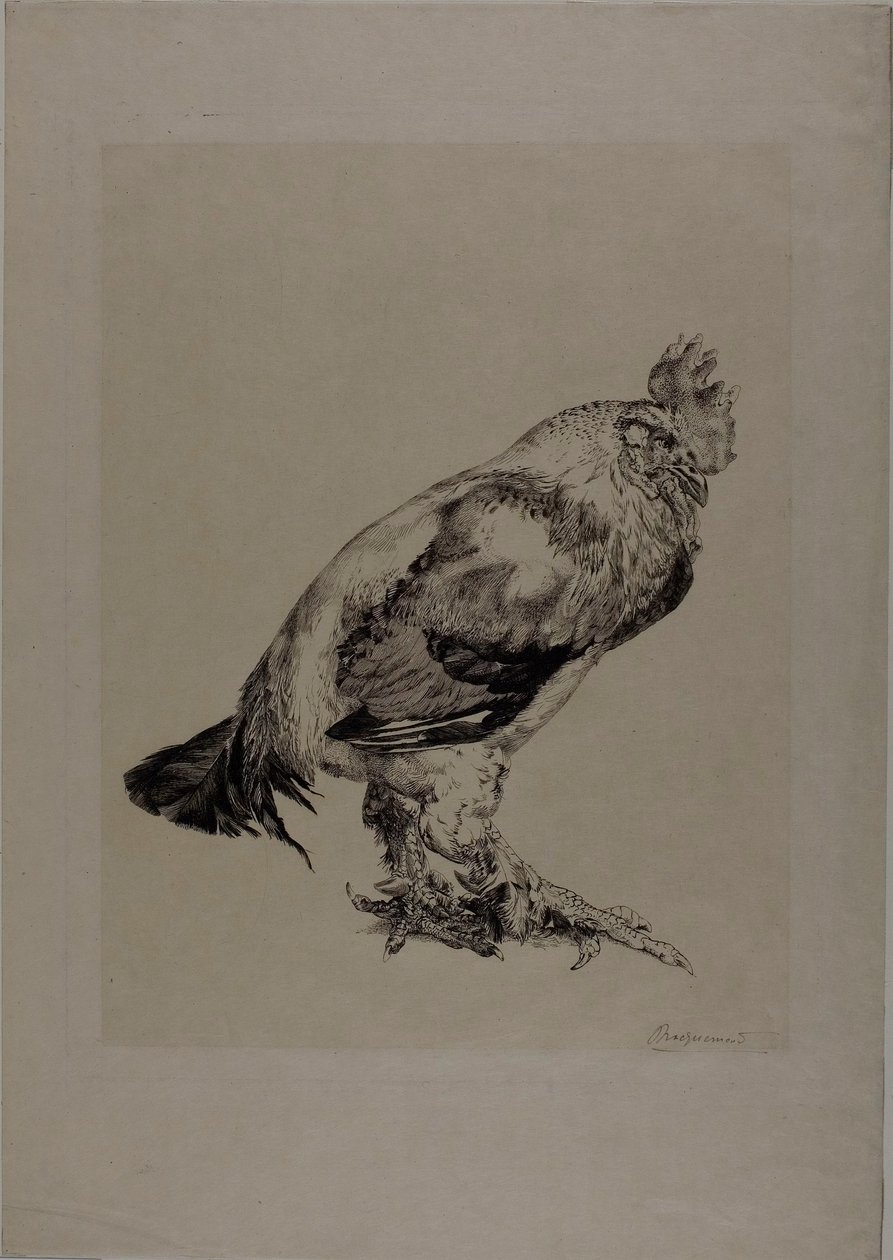  av Félix Henri Bracquemond