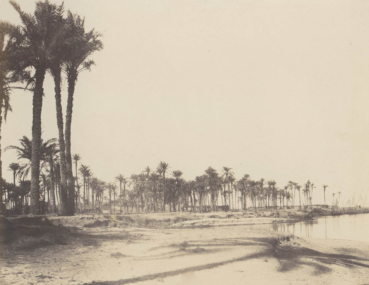 El-Nâcérah, Dattiers, Rives du Nil et Barques, 1851-52, trykt 1853-54. av Félix Teynard