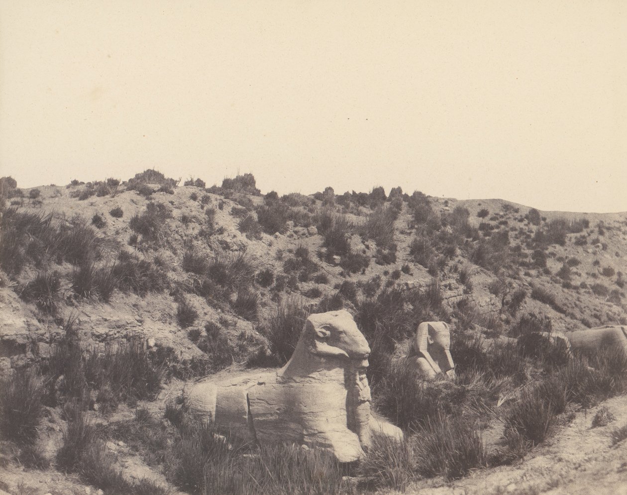 Karnak Theben, Sfinx med menneskehode og ramshode, i Y, 1851-52, trykt 1853-54. av Félix Teynard