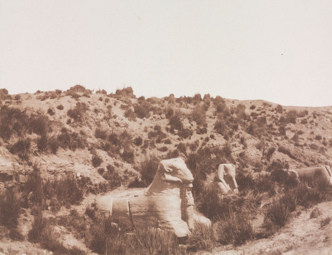 Sfinkser med et menneskehode og med et ramhode ved punkt Y. Karnak Theben, 1851-1852. av Félix Teynard